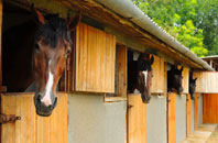 free Delamere stable construction quotes